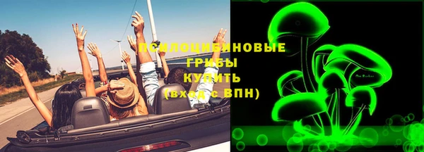 ГАЛЛЮЦИНОГЕННЫЕ ГРИБЫ Пестово